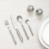 CUTLERY 4pc SET \ Wound Up