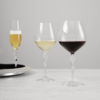 RED WINE GLASS SET OF 2 \ Connoisseur