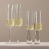 CHAMPAGNE FLUTE SET OF 4 \ Baobab