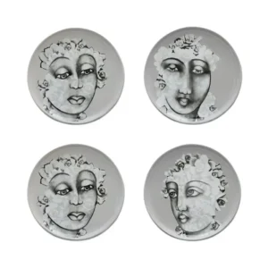 SIDE PLATE SET OF 4 \ Succulent Faces